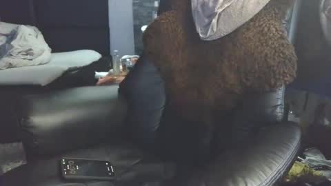 Badboy95 online show from April 3, 4:10 am