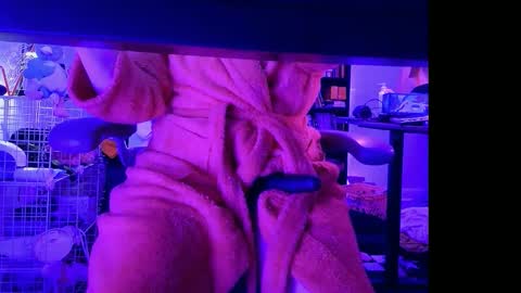 Snapshot of baileymonarch chatting on April 12, 2:16 am Bailey online show from April 12, 2:16 am