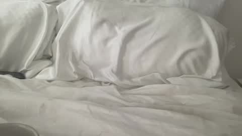 bambidxon online show from February 16, 2:24 pm