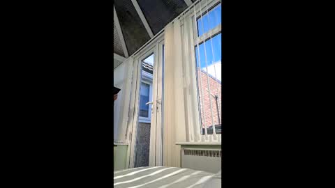 Snapshot of bambifkme chatting on April 8, 9:42 am bambifkme online show from April 8, 9:42 am