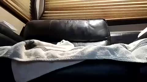 baobabtree8 online show from October 4, 12:14 pm