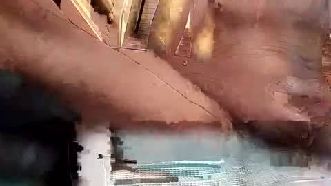 baobabtree8 online show from October 15, 2:17 pm