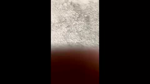 Snapshot of barbara_mur chatting on March 10, 3:28 pm BarbaraDavid online show from March 10, 3:28 pm