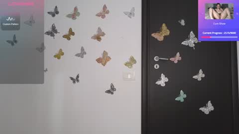 Snapshot of barbara_smith chatting on January 13, 9:19 am Barb online show from January 13, 9:19 am