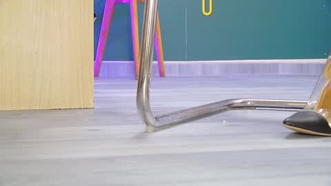 Barbara online show from January 10, 5:56 pm