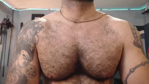 Snapshot of bardockroy_ chatting on February 1, 9:51 pm bardock online show from February 1, 9:51 pm