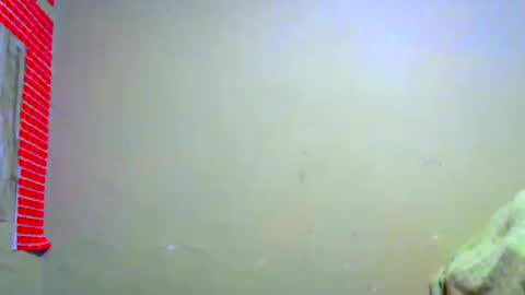Snapshot of bardok_199419 chatting on September 10, 10:04 am Blaky online show from September 10, 10:04 am