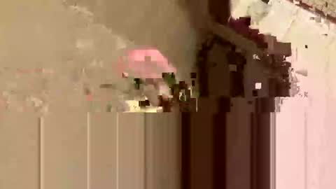 barkley314 online show from November 3, 2:18 pm