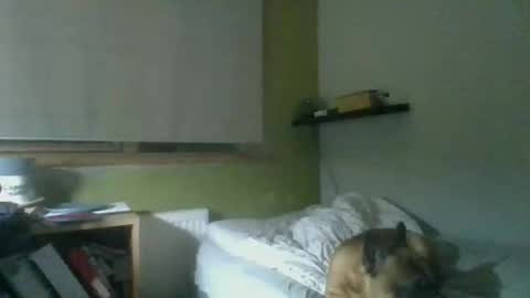 bart_poland online show from October 23, 9:02 pm