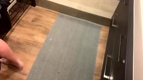 bdsm_toyboy online show from January 10, 8:05 am