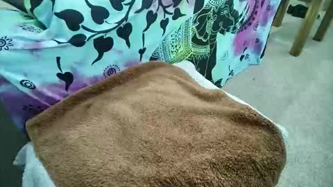 mikiforfun online show from May 6, 9:25 am