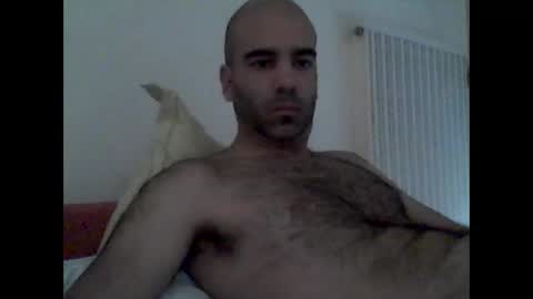 Snapshot of bear14250949 chatting on October 19, 9:10 am bear14250949 online show from October 19, 9:10 am
