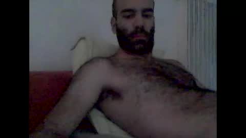 bear14250949 online show from November 1, 8:05 am