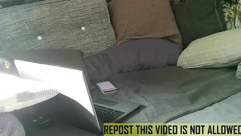 bearlov1 online show from May 14, 7:26 am