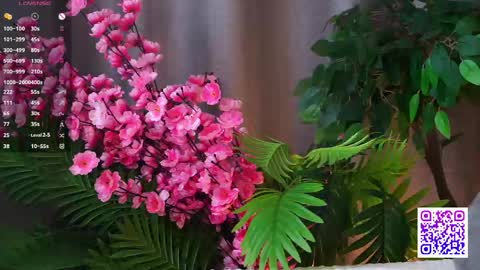 Polly  online show from May 1, 9:47 am