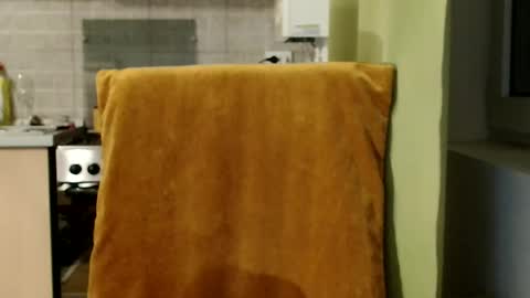 Snapshot of bebacksooon chatting on December 17, 6:36 pm Raluca online show from December 17, 6:36 pm