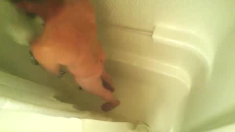 begme88 online show from April 7, 4:24 am