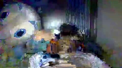 Xi online show from May 20, 4:40 am