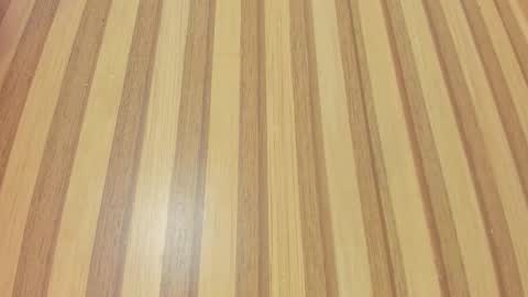 Melanie  online show from February 7, 10:30 am