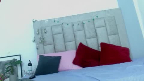 bella_fox723 online show from February 3, 6:22 am