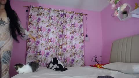 bella_gentle online show from December 20, 11:43 am
