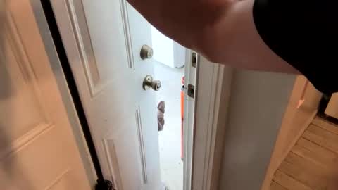 Snapshot of bellabeanz chatting on February 19, 2:12 pm Roxy Rain online show from February 19, 2:12 pm