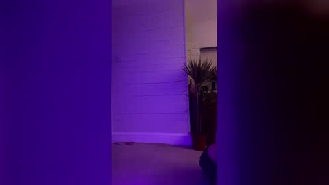 bellaxlauren online show from February 11, 10:48 pm