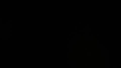 Snapshot of belmontxx chatting on September 29, 5:51 pm belmontxx online show from September 29, 5:51 pm