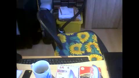 bersch1963 online show from February 13, 8:10 am