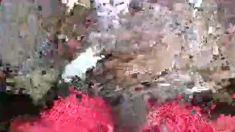 ToxicPipe757 online show from May 20, 5:19 pm