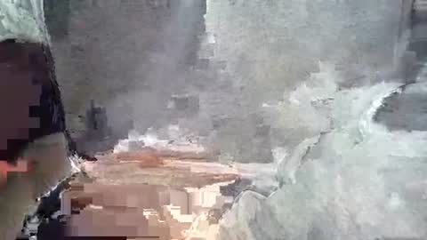 bgreen24 online show from February 10, 3:05 pm