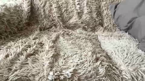 Big dick G online show from April 7, 12:27 pm