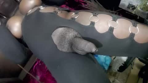 Snapshot of big_trans chatting on January 14, 5:18 pm big_trans online show from January 14, 5:18 pm