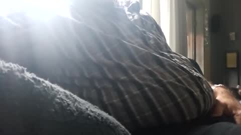 Snapshot of bigbibear88 chatting on December 10, 10:17 am bigbibear88 online show from December 10, 10:17 am