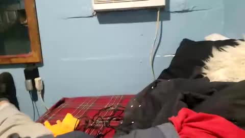 bigblu659 online show from January 9, 12:35 am