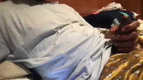 Snapshot of bigbrown_boy chatting on September 21, 7:48 pm bigbrown_boy online show from September 21, 7:48 pm