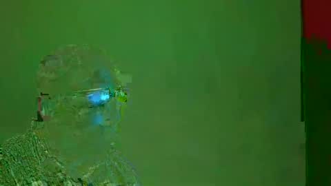 TheSexDistrict online show from December 22, 5:12 am