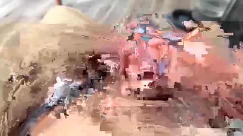 bigcockster207046 online show from September 19, 12:12 am