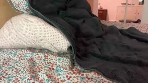 bigcollegecock69690 online show from June 24, 9:36 pm