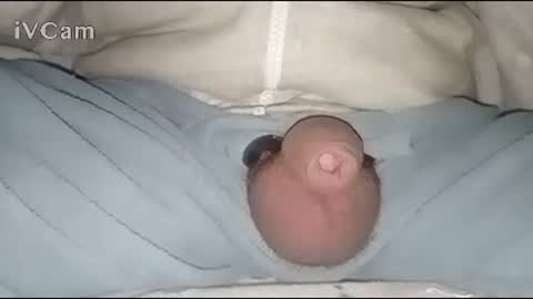 Big online show from January 30, 2:49 am