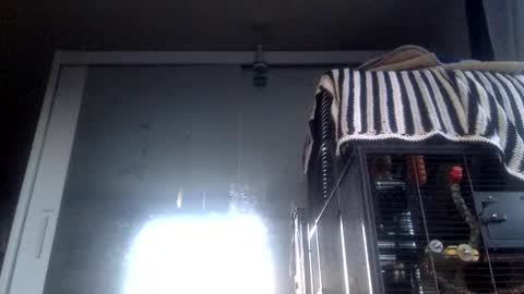 bigdickdangles472924 online show from September 19, 6:08 pm