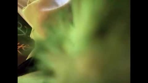 Snapshot of bigdickguy69690 chatting on February 22, 1:11 am bigdickguy69690 online show from February 22, 1:11 am