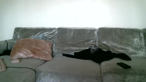 Snapshot of bigdickjimmywill chatting on February 15, 5:39 pm CAJEinc online show from February 15, 5:39 pm