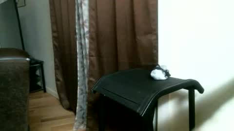 Snapshot of bigdickjimmywill chatting on May 17, 12:01 pm CAJEinc online show from May 17, 12:01 pm