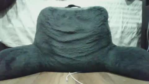 Snapshot of bigdyllpickle chatting on January 8, 2:47 am bigdyllpickle online show from January 8, 2:47 am