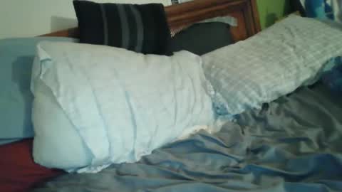 Snapshot of bigdyllpickle chatting on April 1, 1:28 am bigdyllpickle online show from April 1, 1:28 am