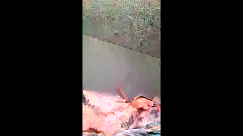 Snapshot of bigernine chatting on January 10, 11:23 am bigernine online show from January 10, 11:23 am