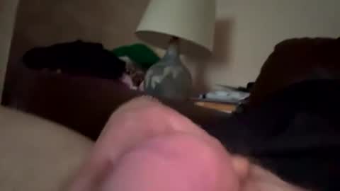 Snapshot of biggloves4bighands chatting on December 21, 2:24 pm biggloves4bighands online show from December 21, 2:24 pm