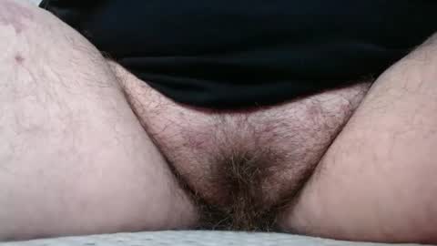 Snapshot of bighairyabby chatting on November 4, 1:59 am Abby online show from November 4, 1:59 am