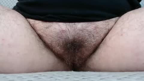 Abby online show from November 10, 5:01 pm